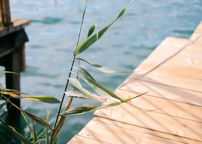River House - Esperanza